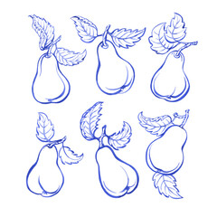 Set with blue pears in blue retro style. Hand drawn monochrome watercolor painting illustration isolated on white background