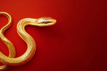 Obraz premium Gold snake on a red background for Chinese New Year concept