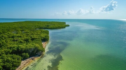 Protected Area Tourism: Experience national parks dedicated to biodiversity, where tourism fosters education on the importance of conserving ecosystems.
