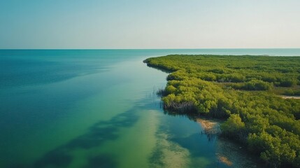 Protected Area Tourism: Experience national parks dedicated to biodiversity, where tourism fosters education on the importance of conserving ecosystems.
