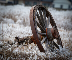 Wagon wheel in frost