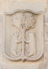 Pizarro Family Coat of arms