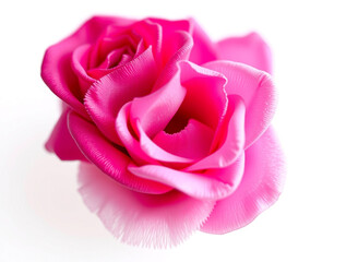 Fototapeta premium Celebrate Valentine's Day with Romantic Rose Petal Decoration and Copy Space