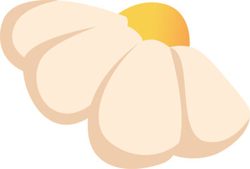 Chamomile Flower Head