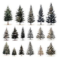 Fototapeta premium set of christmas trees isolated on transparent background
