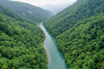 River flows through lush green valley