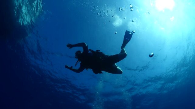 scuba divers starting or ending the dive underwater shallow 