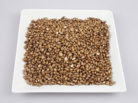 볶음,보리,사각형,접시,한국