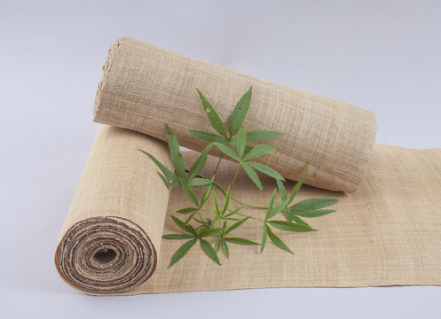 2,옷감,삼베,모시,대마,줄기,한국