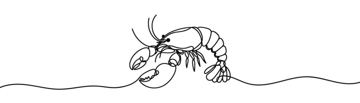 Continuous one line drawing of a crayfish or lobster posing. Animal with claws.