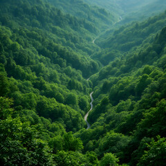 Fototapeta premium Breathtaking View of a Serene Green Valley with Meandering River Amidst Lush Foliage