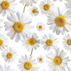 Fototapeta premium Seamless pattern with watercolor camomile drawing flowers 