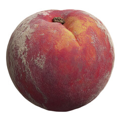 Obraz premium Ripe Peach with Fuzzy Skin Close up Studio Shot Fresh Fruit Red Peach Detailed Texture