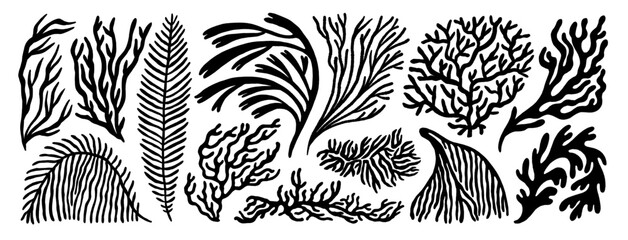 Coral reef or seaweeds vector underwater plant icons. Naive style leaves, algae or fronds. Hand drawn vector ink illustration. Modern style organic corals, aesthetic underwater plants and branches. © Anastasiia Hevko