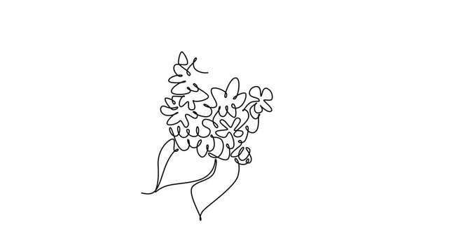 Animated self drawing of continuous line draw beauty fresh hortensia for home wallpaper decor art poster. Decorative hydrangea flower concept for floral card frame. Full length single line animation