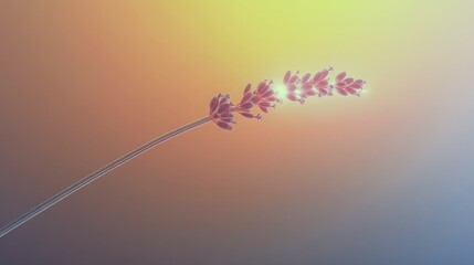 Delicate lavender sprig bathed in warm, golden light. Serenity and tranquility.