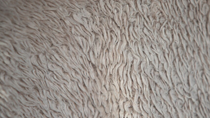 Close up of beige fur texture. Abstract background for design.