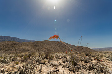 Marble Mines, Cuatro Cienegas Coahuila Mexico.
