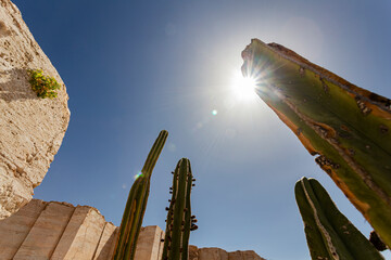 Marble Mines, Cuatro Cienegas Coahuila Mexico.
