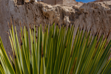 Marble Mines, Cuatro Cienegas Coahuila Mexico.
