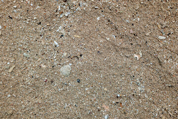 White sand texture on the beach