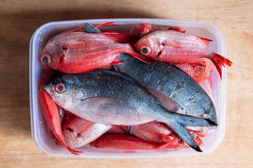 Sea food. Red snapper in a bowl.