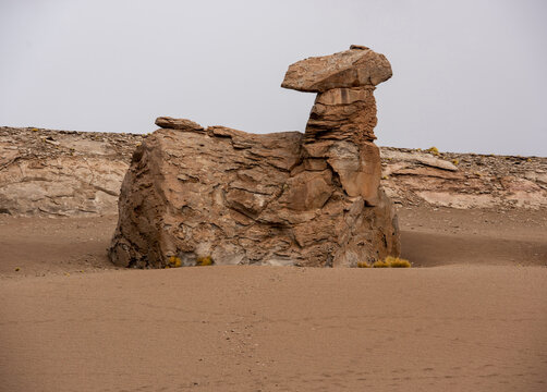 동물,모양,모래언덕,사막,실로리사막,Siloli Desert,알티플라노,Altiplano,볼리비아