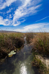 La Poza Azul de Cuatro Ci&eacute;negas, a crystalline oasis in the desert, Coahuila Mexico