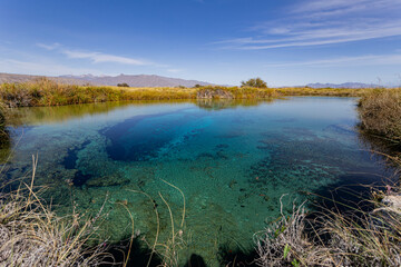 La Poza Azul de Cuatro Ci&eacute;negas, a crystalline oasis in the desert, Coahuila Mexico