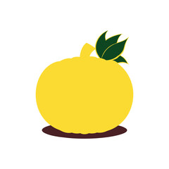 Cute design element vector illustration