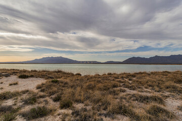 The Cuatro Ci&eacute;nagas natural reserve, one of the most important wetlands in the world, Coahuila Mexico