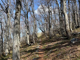 Premuzic hiking trail or Premuzic Trail - Northern Velebit National Park, Croatia or Premuzic-Wanderweg or Premuzic's Trail (Pje&scaron;ački planinarski put Premužićeva staza - NP Sjeverni Velebit, Hrvatska)