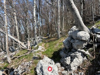 Premuzic hiking trail or Premuzic Trail - Northern Velebit National Park, Croatia or Premuzic-Wanderweg or Premuzic's Trail (Pješački planinarski put Premužićeva staza - NP Sjeverni Velebit, Hrvatska)