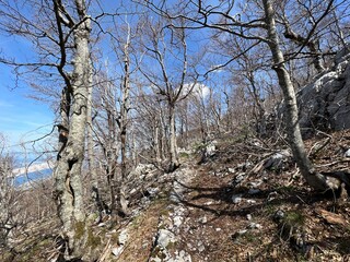 Premuzic hiking trail or Premuzic Trail - Northern Velebit National Park, Croatia or Premuzic-Wanderweg or Premuzic's Trail (Pješački planinarski put Premužićeva staza - NP Sjeverni Velebit, Hrvatska)