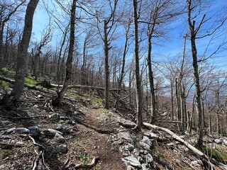 Premuzic hiking trail or Premuzic Trail - Northern Velebit National Park, Croatia or Premuzic-Wanderweg or Premuzic's Trail (Pješački planinarski put Premužićeva staza - NP Sjeverni Velebit, Hrvatska)