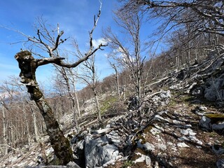 Premuzic hiking trail or Premuzic Trail - Northern Velebit National Park, Croatia or Premuzic-Wanderweg or Premuzic's Trail (Pješački planinarski put Premužićeva staza - NP Sjeverni Velebit, Hrvatska)