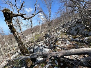 Premuzic hiking trail or Premuzic Trail - Northern Velebit National Park, Croatia or Premuzic-Wanderweg or Premuzic's Trail (Pješački planinarski put Premužićeva staza - NP Sjeverni Velebit, Hrvatska)