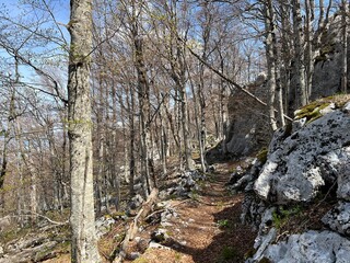Premuzic hiking trail or Premuzic Trail - Northern Velebit National Park, Croatia or Premuzic-Wanderweg or Premuzic's Trail (Pješački planinarski put Premužićeva staza - NP Sjeverni Velebit, Hrvatska)