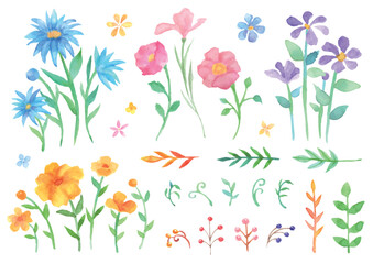 水彩の優しいタッチの花と植物あしらいのセット
