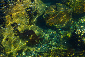 Fototapeta premium Water