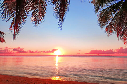 Sunrise sea beach, sunset tropical island, beautiful dawn ocean landscape, palm tree leaves, sun reflection, blue water, yellow, red, pink, orange, purple sky clouds, summer holidays, vacation, travel