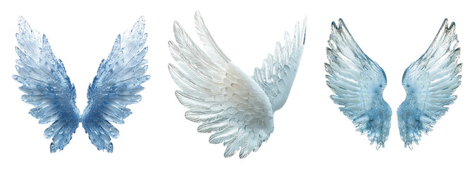 Obraz premium Stunning Collection of Ethereal Wings Isolated on Transparent Background