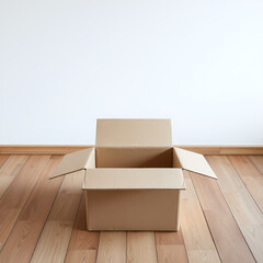 empty cardboard box