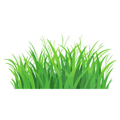 Fototapeta premium Grass illustration vector green vector