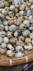 Fototapeta premium quail eggs in a basket