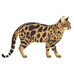 Bengal cat illustration animal bengal vector