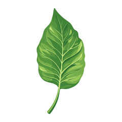 Tropical rose leaf illustration green eco-friendly vector