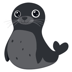 Seal illustration cartoon animal vector