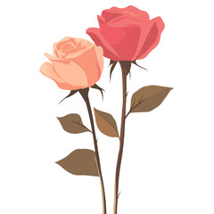 Roses illustration pink art vector