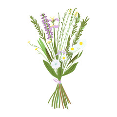Wildflower bouquet flowers art illustration vector